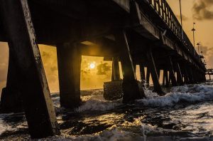 10516584_10203854749601379_566971857416645194_n